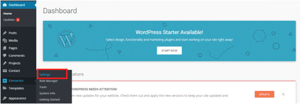 remove page title in WordPress