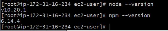 node version npm version