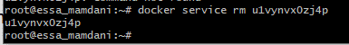 remove docker service