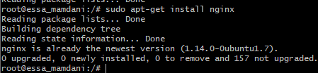 installing nginx