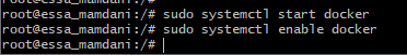 start-enable docker