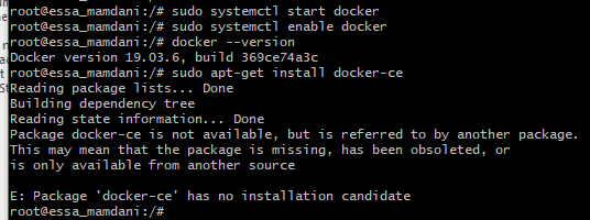 enable docker
