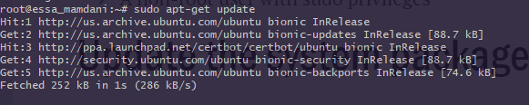 sudo apt update
