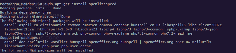 install openlitespeed