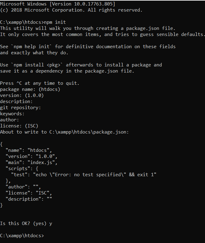 npm init